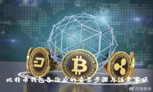 比特币钱包备份后的重要步骤与注意事项