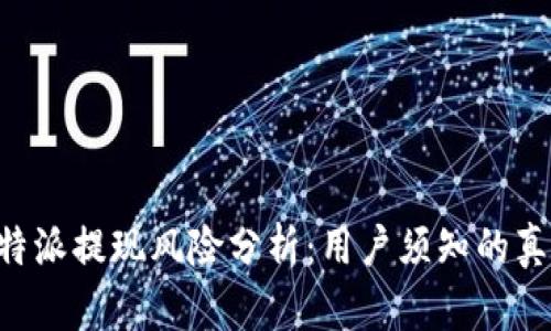 B特派提现风险分析：用户须知的真相