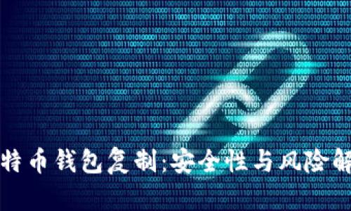 比特币钱包复制：安全性与风险解读