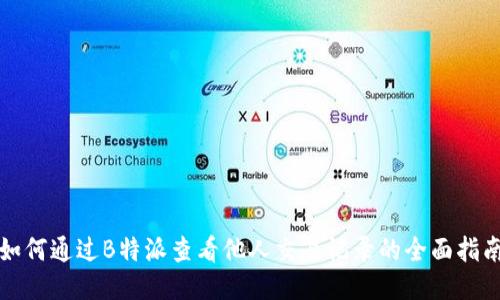 如何通过B特派查看他人交易记录的全面指南
