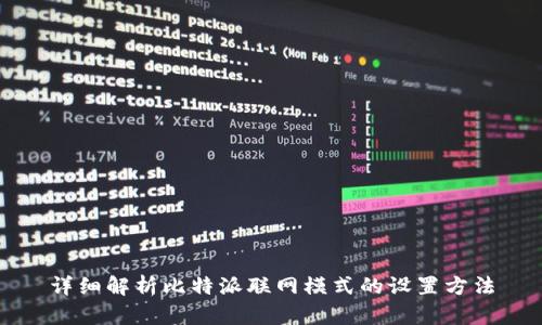 详细解析比特派联网模式的设置方法