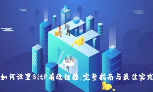 如何设置BitP有效链接：完整指南与最佳实践