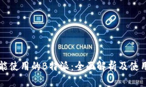 国内能使用的B特派：全面解析及使用指南