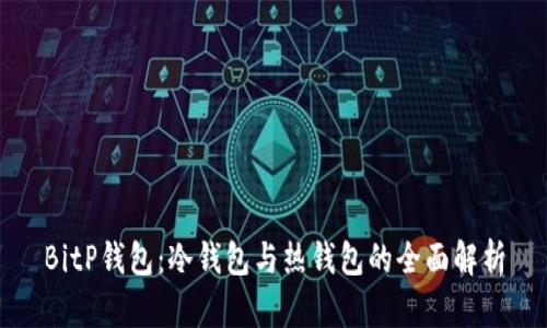 BitP钱包：冷钱包与热钱包的全面解析
