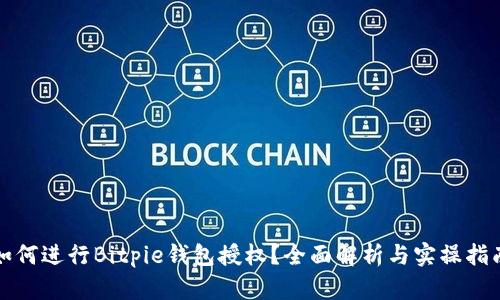 如何进行Bitpie钱包授权？全面解析与实操指南
