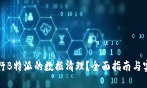 如何进行B特派的数据清理？全面指南与实用技巧
