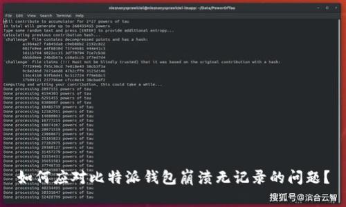 如何应对比特派钱包崩溃无记录的问题？