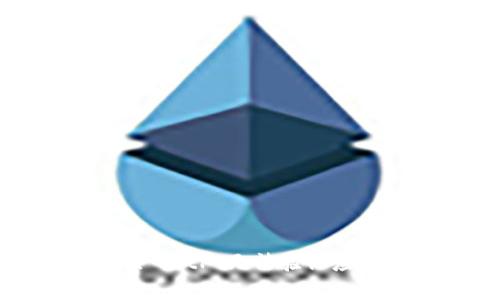如何解决 BitP 无法验证应用的问题