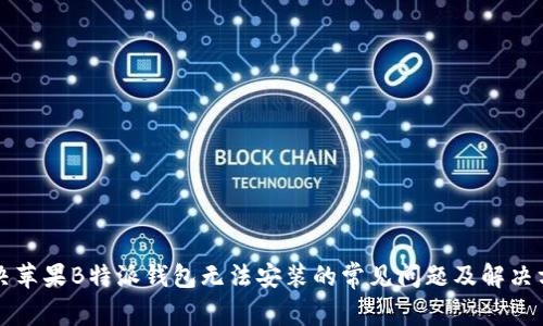 解决苹果B特派钱包无法安装的常见问题及解决方案