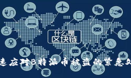如何快速应对B特派币被盗的紧急处理指南