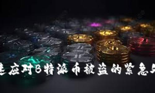 如何快速应对B特派币被盗的紧急处理指南