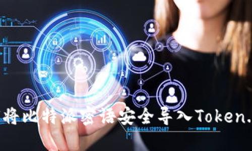 : 如何将比特派密语安全导入Token.im平台