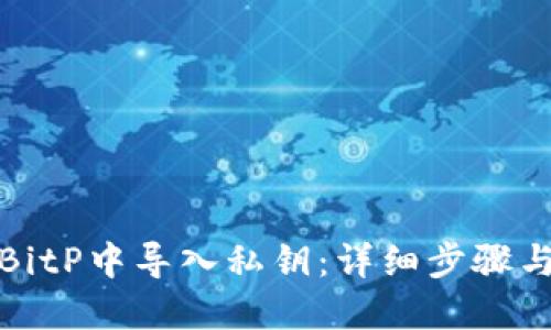 : 如何在BitP中导入私钥：详细步骤与安全指南