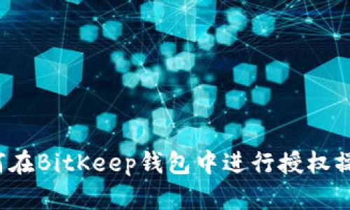 如何在BitKeep钱包中进行授权操作？