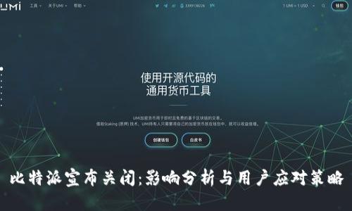 比特派宣布关闭：影响分析与用户应对策略