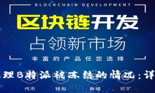 如何处理B特派被冻结的情况：详细指南
