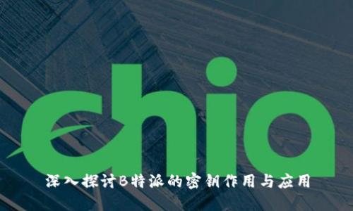 深入探讨B特派的密钥作用与应用