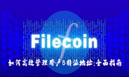 如何高效管理用户B特派地址：全面指南