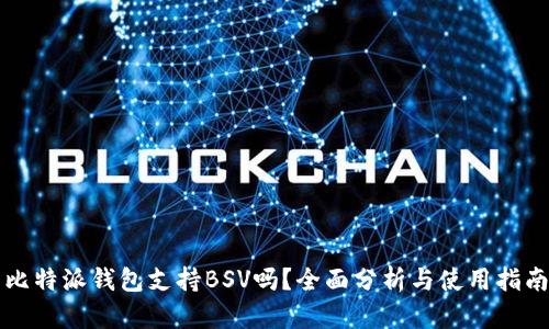 比特派钱包支持BSV吗？全面分析与使用指南