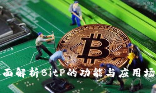 全面解析BitP的功能与应用场景