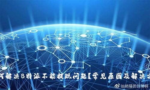如何解决B特派不能提现问题？常见原因及解决方案