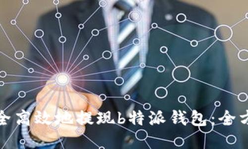 如何安全高效地提现b特派钱包：全方位教程