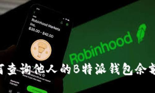 biaioti如何查询他人的B特派钱包余额：详尽指南