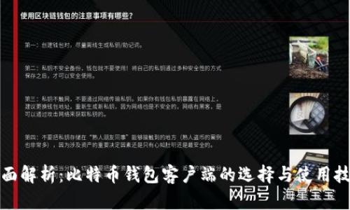 全面解析：比特币钱包客户端的选择与使用技巧