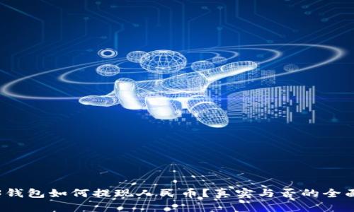 Web3钱包如何提现人民币？真实与否的全面解读