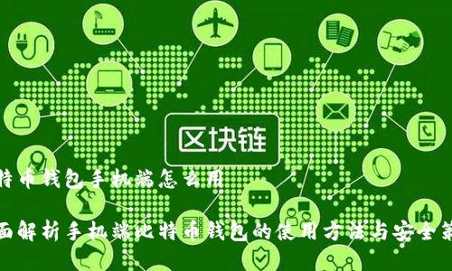 比特币钱包手机端怎么用

全面解析手机端比特币钱包的使用方法与安全策略