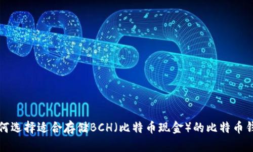 如何选择适合存储BCH（比特币现金）的比特币钱包