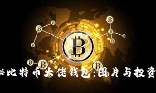  揭秘比特币大佬钱包：图片与投资策略