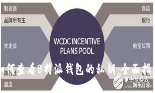 如何查看B特派钱包的私钥：全面指南