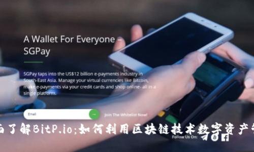 全面了解BitP.io：如何利用区块链技术数字资产管理