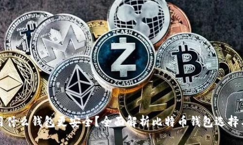 比特币用什么钱包更安全？全面解析比特币钱包选择与安全性