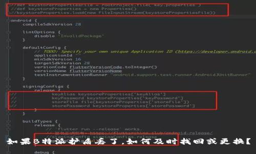 如果B特派护盾丢了，如何及时找回或更换？