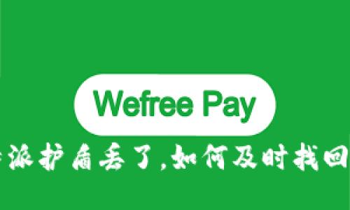 如果B特派护盾丢了，如何及时找回或更换？