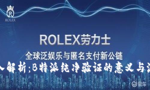 深入解析：B特派纯净验证的意义与流程